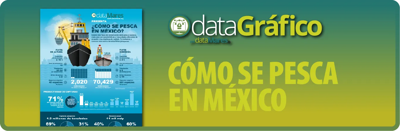 ¿CÓMO SE PESCA EN MÉXICO?