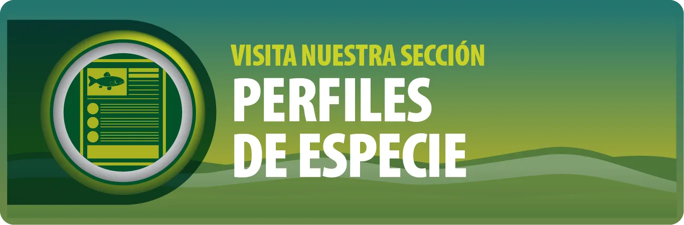 PERFILES DE ESPECIE